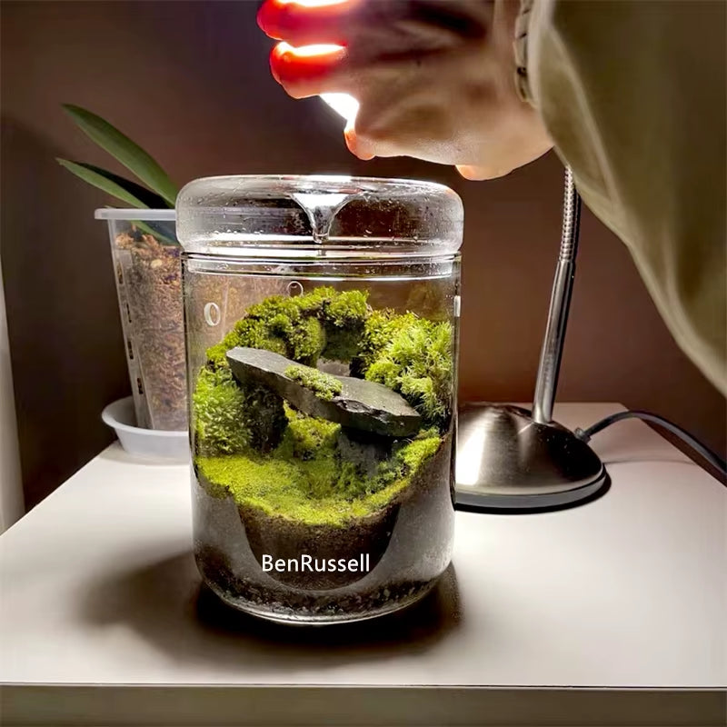 Micro Landscape Glass Bottles Creativity Dew Collection Glass Vase Succulent Moss Bansai Landscape Glass Terrarium Home Decor